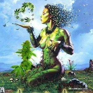 Meet your Posher, Indica